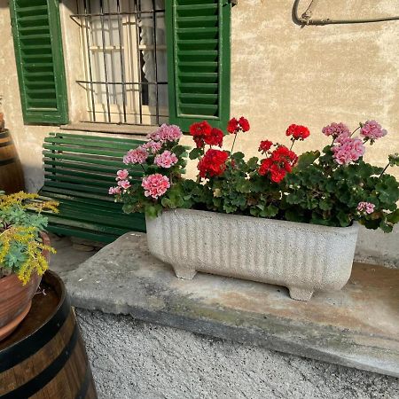 The Montevecchia Home - Frida Apartment Екстер'єр фото